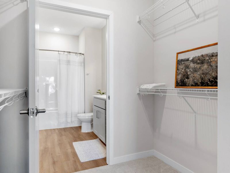 Lexi Apartments Walk-in closet with wire shelving, beige carpet, and view into a bathroom with shower and white curtain.