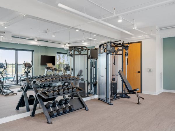 Lexi Apartments Small gym room with free weights, a weight machine, mirrors, and cardio equipment by the window.