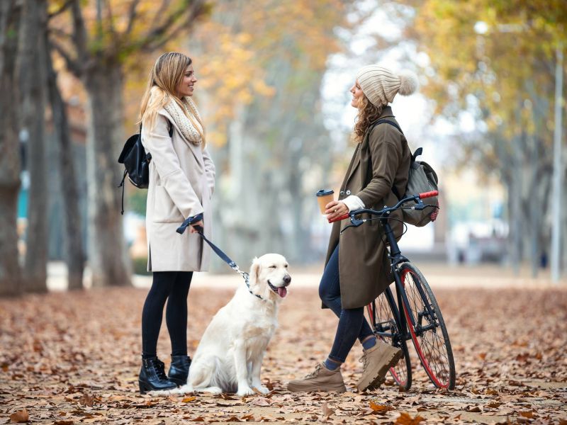 Lexi Apartments Two women talking in a park during autumn, one with a dog and the other with a bicycle and coffee cup.